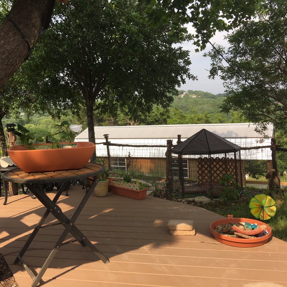 Mike's Tree Service - Tree Services Near Me - Leander, Texas Mike's Tree Service - Tree Services Near Me - Leander, Texas
