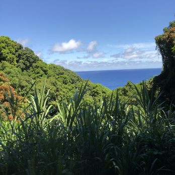 Temptation Tours - Tours Near Me - Kahului, Hawaii
