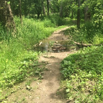 Prairie Oaks Metro Park - Flooded trail on sycamore plains trail - Hiking Near Me - Hilliard, Ohio