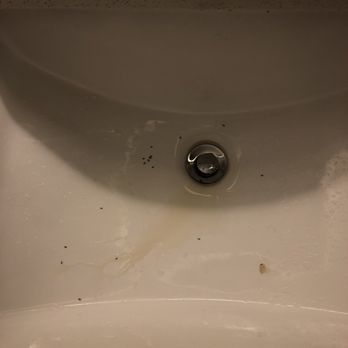Holiday Inn Express & Suites Alabaster - Bought a pop from the snack area only to find hundreds of ants in it after sitting out for less than 2 minutes - Hotels Near Me - Alabaster, Alabama Holiday Inn Express & Suites Alabaster - Bought a pop from the snack area only to find hundreds of ants in it after sitting out for less than 2 minutes - Hotels Near Me - Alabaster, Alabama