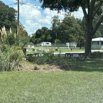 Burger House - Picnic table under an oak tree. - Fast Food Near Me - Chiefland, Florida