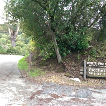 Picchetti Winery - Don't miss it! Park on the left side of the fork - Wineries Near Me - Cupertino, California Picchetti Winery - Don't miss it! Park on the left side of the fork - Wineries Near Me - Cupertino, California
