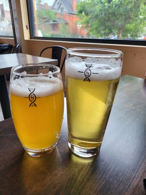 Novel Strand Brewing Company by null