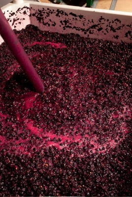 T-Vine Winery by null