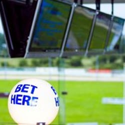 Shelbourne Park Greyhound Stadium - Photo taken from IGB website