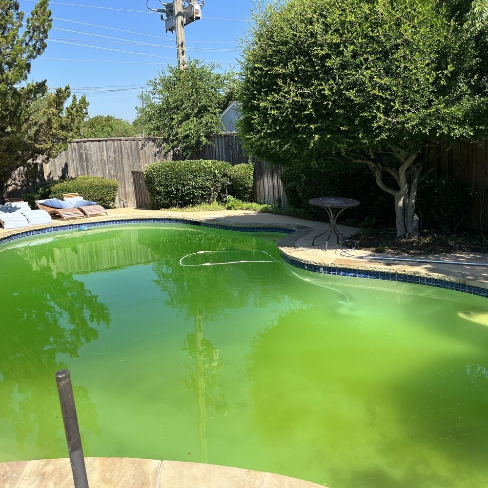 Custom Pool Care - Your pool can also be unusable after three weeks of "care" from Custom Pool Care - Pool Cleaners Near Me - Richardson, Texas Custom Pool Care - Your pool can also be unusable after three weeks of "care" from Custom Pool Care - Pool Cleaners Near Me - Richardson, Texas