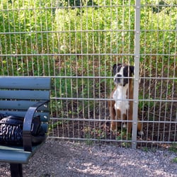 Tuuliniityn koirapuisto