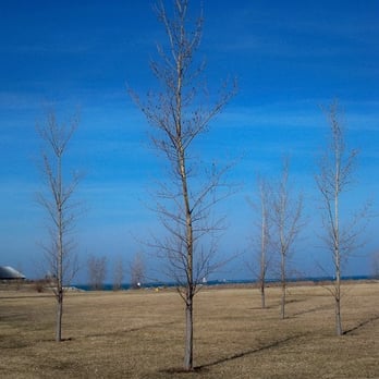 Northerly Island Park - Parks Near Me - Chicago, Illinois
