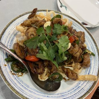 Chef's House  - Peking Duck - Chinese Near Me - Duluth, Georgia