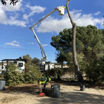 Whits Turn Tree Care - Tree Services Near Me - Paso Robles, California