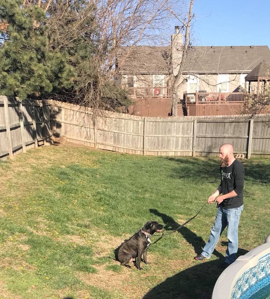 TURN AROUND DOGS BEHAVIOR & TRAINING Updated June 2024 18 Photos