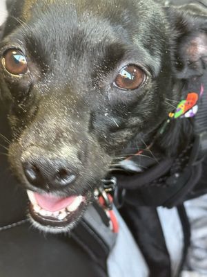 Narragansett Town Beach by null