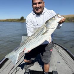 Bait & Booze Tackle Shop