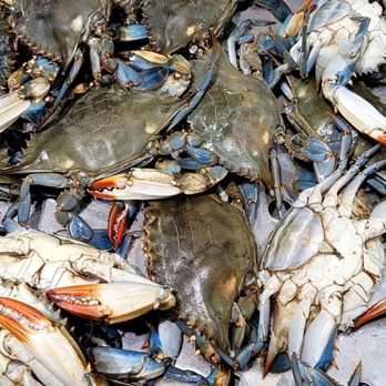 168 Market - a large pile of blue crabs - Fruits & Veggies Near Me - San Gabriel, California 168 Market - a large pile of blue crabs - Fruits & Veggies Near Me - San Gabriel, California