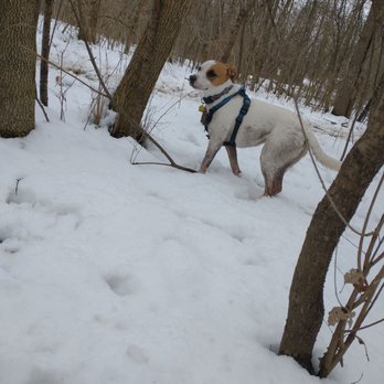 Warnimont Dog Park - Dog Parks Near Me - Cudahy, Wisconsin Warnimont Dog Park - Dog Parks Near Me - Cudahy, Wisconsin