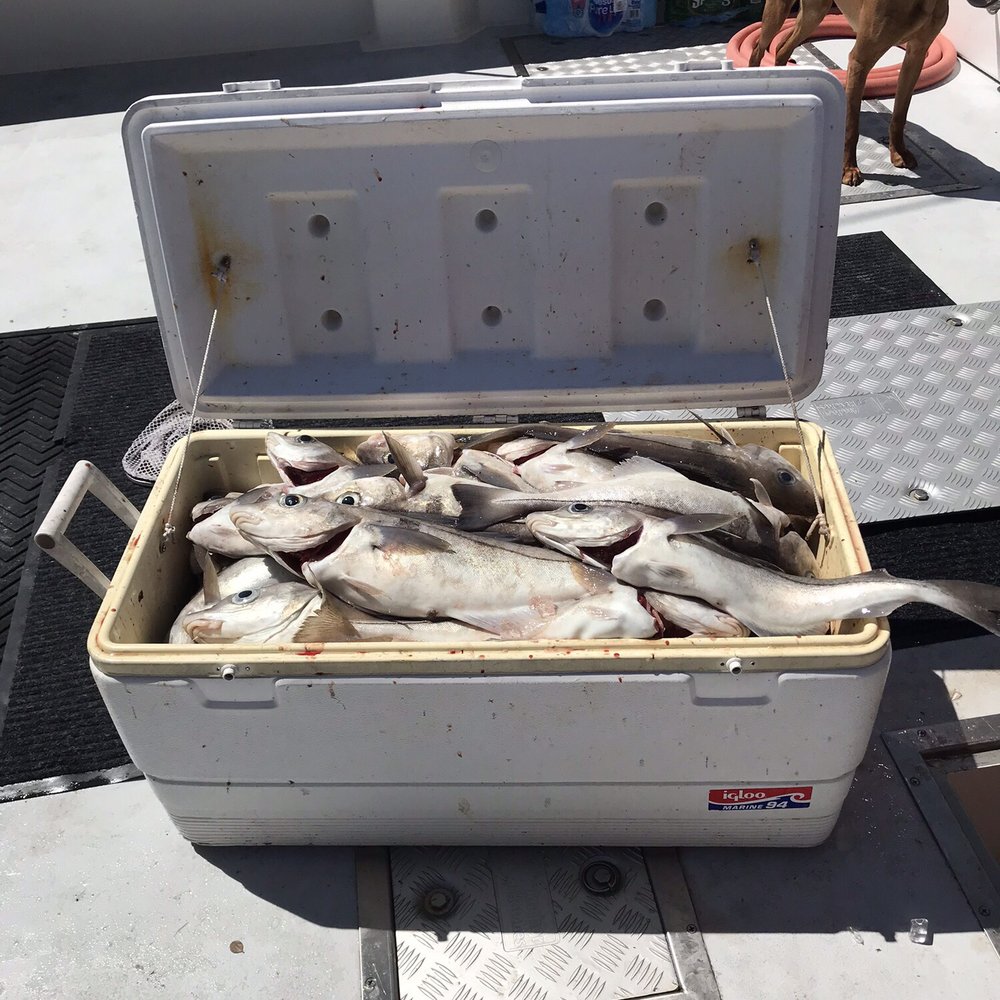 Dark Horse Charters - Boat Charters Near Me Dark Horse Charters - Boat Charters Near Me