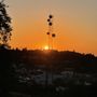 Photo of Shirland Canal Trails