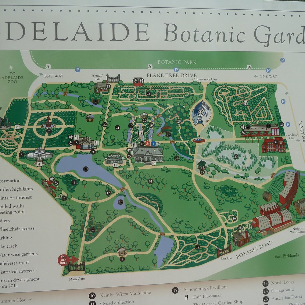 Adelaide Botanic Garden - Botanical Gardens Near Me - Adelaide, SA