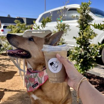 NUDAE Coffee - Coffee & Tea Near Me - Costa Mesa, California