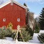 Photo of Nash Nurseries