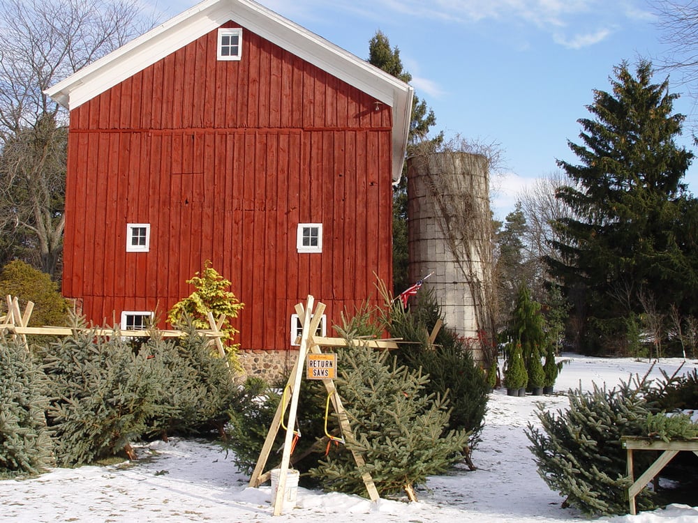 NASH NURSERIES Updated September 2024 4975 W Grand River Rd, Owosso