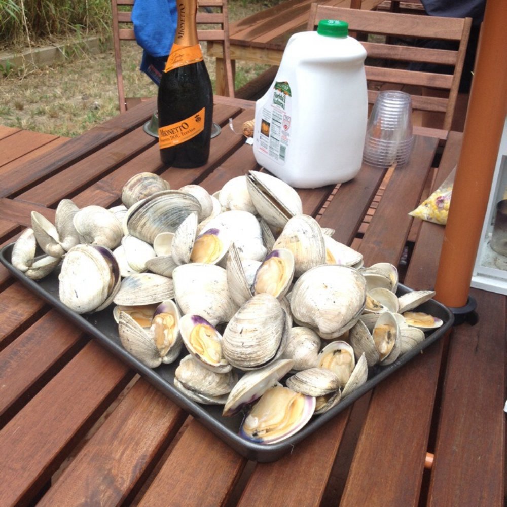 Best clams I ever had !! We dug for these and got cuts and scrapes !!!! Best clams I ever had !! We dug for these and got cuts and scrapes !!!!