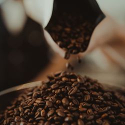 Brewpoint Coffee - Lexicon Cafe