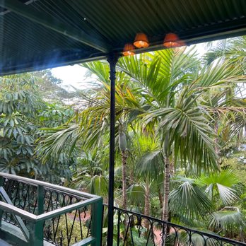 Ernest Hemingway Home  - Museums Near Me - Key West, Florida
