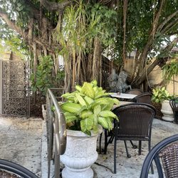 Cafe Demetrio - Outdoor patio