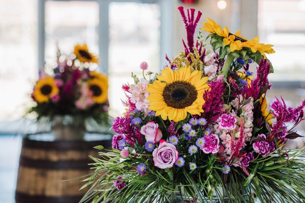 Forgotten Star Brewing Co. by null