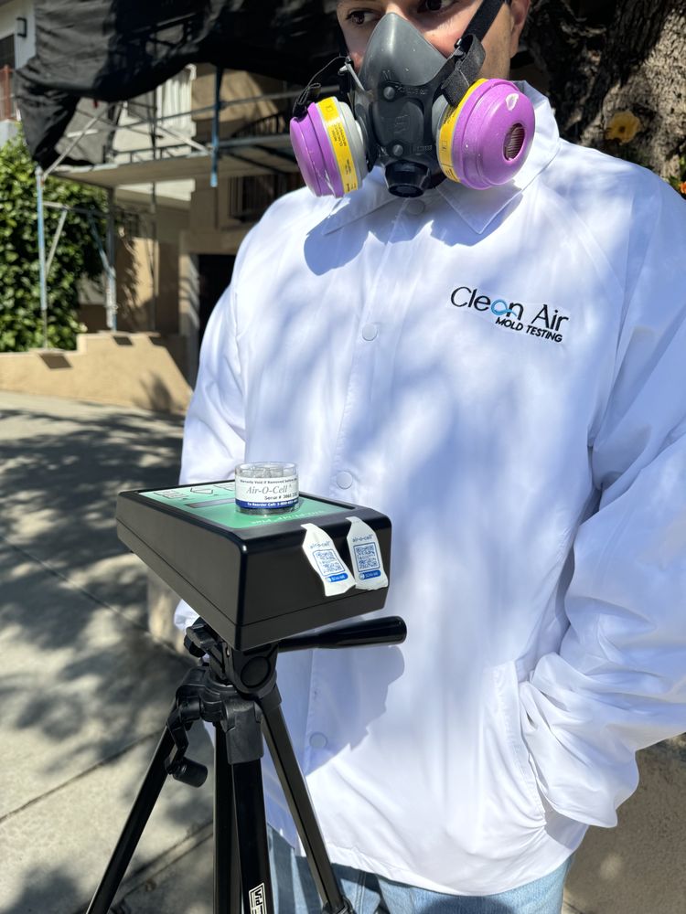 Clean Air Mold Testing - mold inspector in Los Angeles, CA