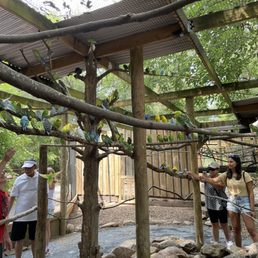 Parakeet experience Parakeet experience