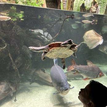 National Aquarium - Aquariums Near Me - Baltimore, Maryland National Aquarium - Aquariums Near Me - Baltimore, Maryland