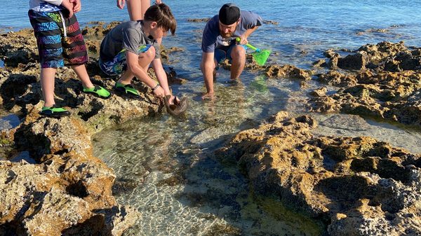 Sandspur Beach by null