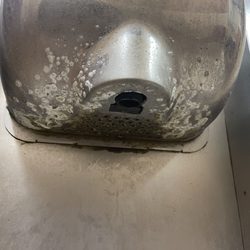 Chicken Express - Mold on the hand dryer in the men's restroom.