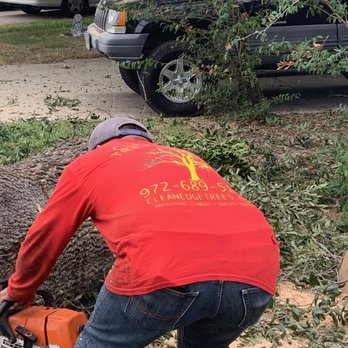 Clean Edge Tree Service & Removal - Tree Services Near Me - Denton, Texas Clean Edge Tree Service & Removal - Tree Services Near Me - Denton, Texas