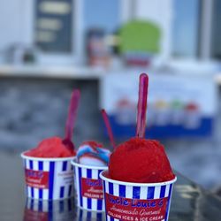 Uncle Louie G St pete - Italian ice