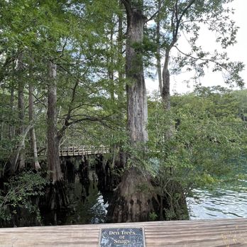 Morrison Springs - Parks Near Me - Ponce de Leon, Florida Morrison Springs - Parks Near Me - Ponce de Leon, Florida
