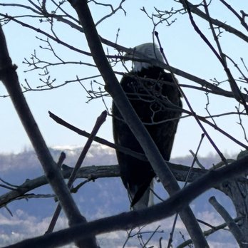 Barn Bluff - Eagle on the River Side - Hiking Near Me - Red Wing, Minnesota