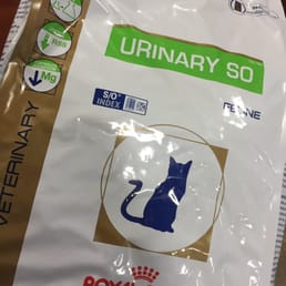 Prescription food for the senior kitty.