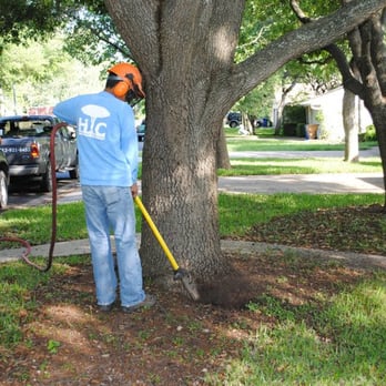Heritage Tree Care - airspade tool to excavate excess fill on the root crown - Tree Services Near Me - Austin, Texas
