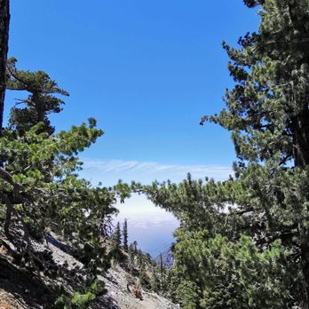 Cucamonga Peak - Hiking Near Me - Mount Baldy, California Cucamonga Peak - Hiking Near Me - Mount Baldy, California