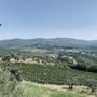 Photo of Castello Vicchiomaggio