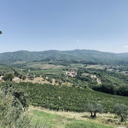 Castello Vicchiomaggio - View from restaurant