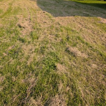 Lawn Love Lawn Care - This is how my lawn was left and they refuse to give me a refund. - Landscaping Near Me - Buffalo, New York Lawn Love Lawn Care - This is how my lawn was left and they refuse to give me a refund. - Landscaping Near Me - Buffalo, New York