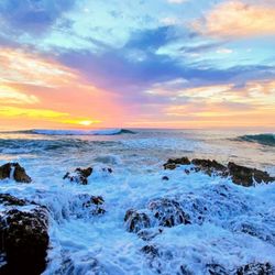 Hawaiian Princess Makaha