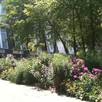 Yorkville Park - Parks Near Me - Toronto, Ontario Yorkville Park - Parks Near Me - Toronto, Ontario