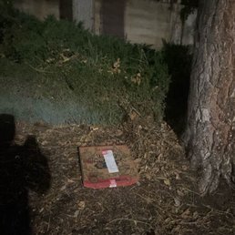 This is our pizza sitting in the rain and dirt at the incorrect address.