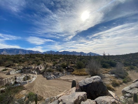 Honey Bee Canyon by null