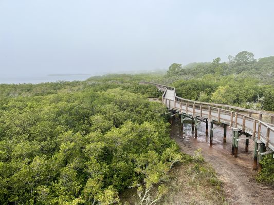 Boca Ciega Millennium Park by null